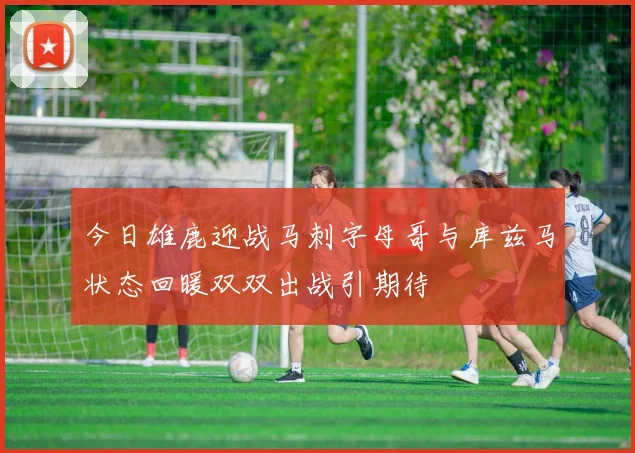 今日雄鹿迎战马刺字母哥与库兹马状态回暖双双出战引期待